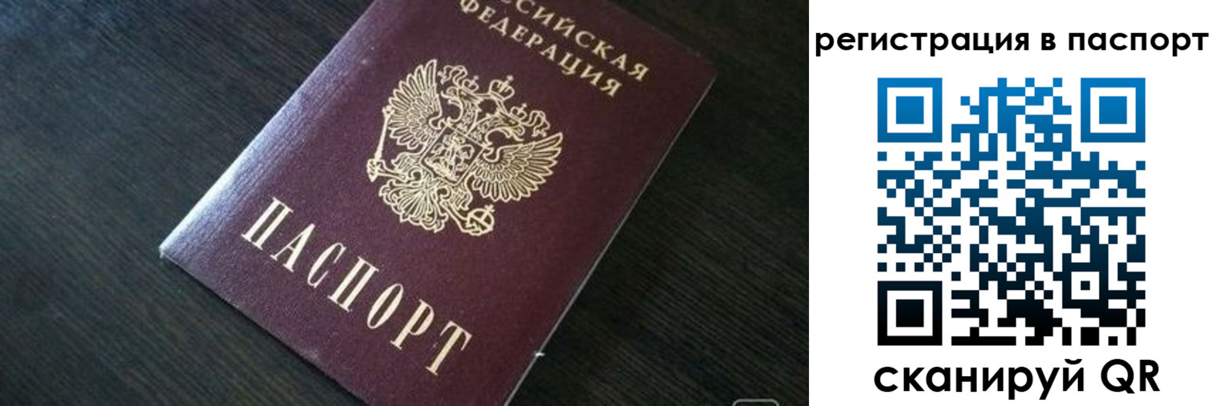 прописка в квартире в Камчатской области